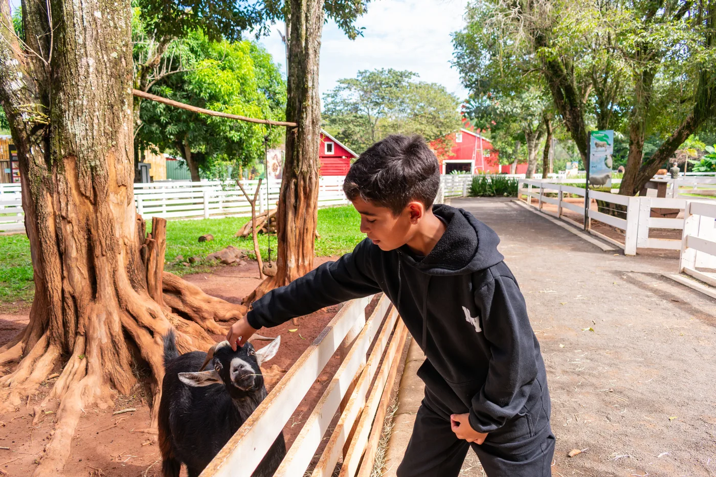 Menino acariciando uma cabra no Zoopark em Foz do Iguaçu — promoção Setembro Encantador da Pousada Cataratas